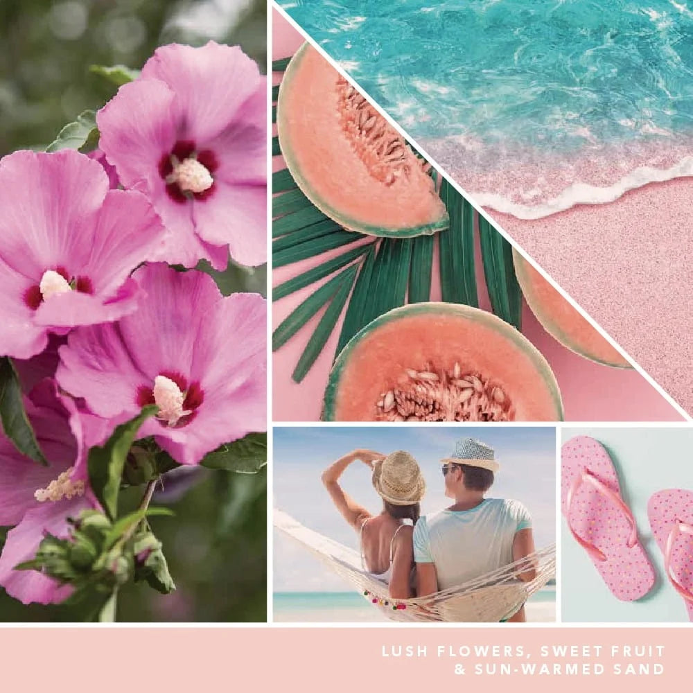 Pink Sands Scented Candle 10oz Soy Paraffin Blend Cotton Wick Unique Crackling Sound Home Ambiance Gift