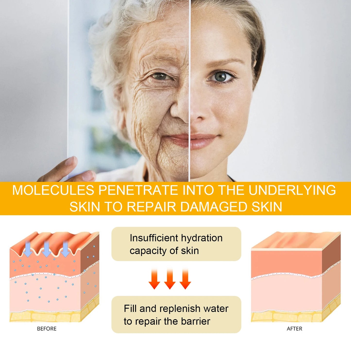 Ginseng Face Anti Wrinkle Serum Reduce Fine Lines Tightening Hydrating Anti-aging Plumping Face Smooth Skin Care Serum