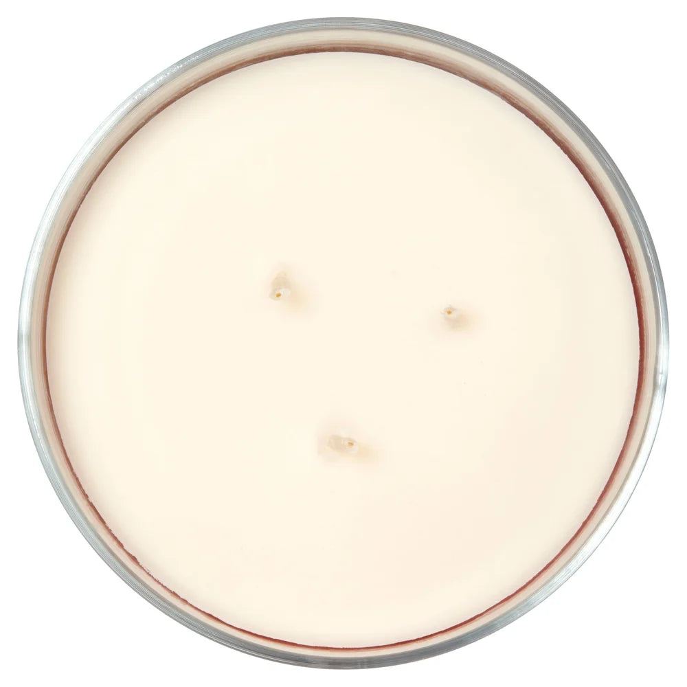 3-Wick Juicy Watermelon Scented Candle 14 oz Decorative Container Paraffin Blend Wax 65 Hours Burn Time Aromatic Home Fragrance